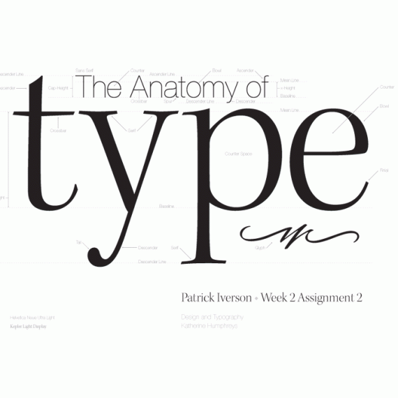 Anatomy of Type
